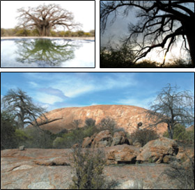 Sacred rock of Klein Bolayi